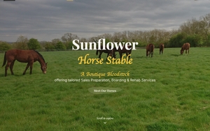 Boutique Bloodstock - Premium Equine Services